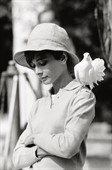 Audrey Hepburn Dove main